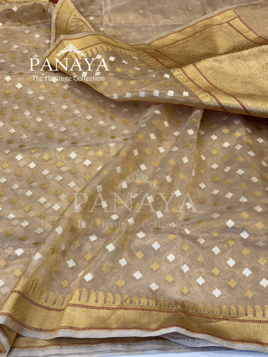 Saree  Tisshue Silk Saree with Banarsi Aanchal Border with gold & Silver  booti design