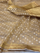 Saree Tisshue Silk Saree with Banarsi Aanchal Border with gold & Silver booti design