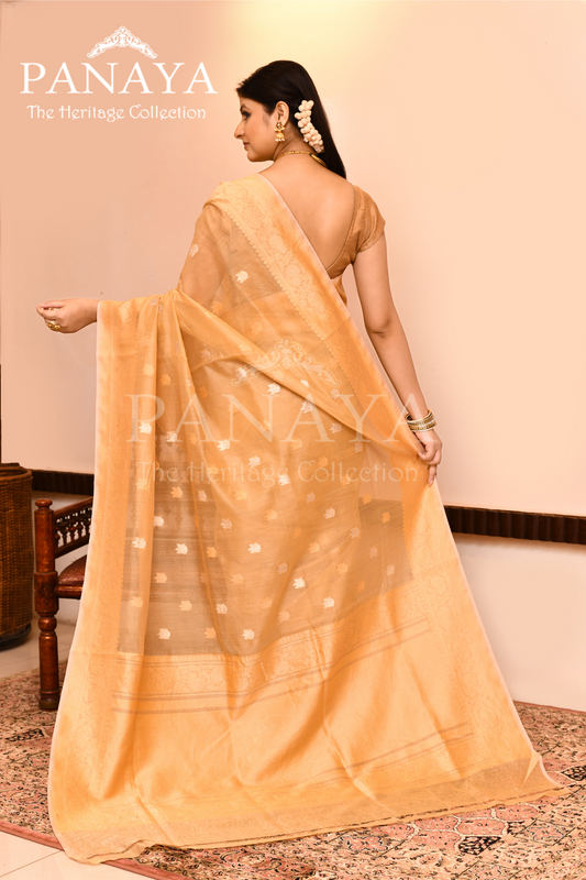 Saree Kora Cotton Silk With Banarasi aanchal & Border with Gold & Silver  Booti