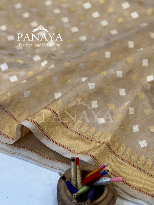 Saree  Tisshue Silk Saree with Banarsi Aanchal Border with gold & Silver  booti design