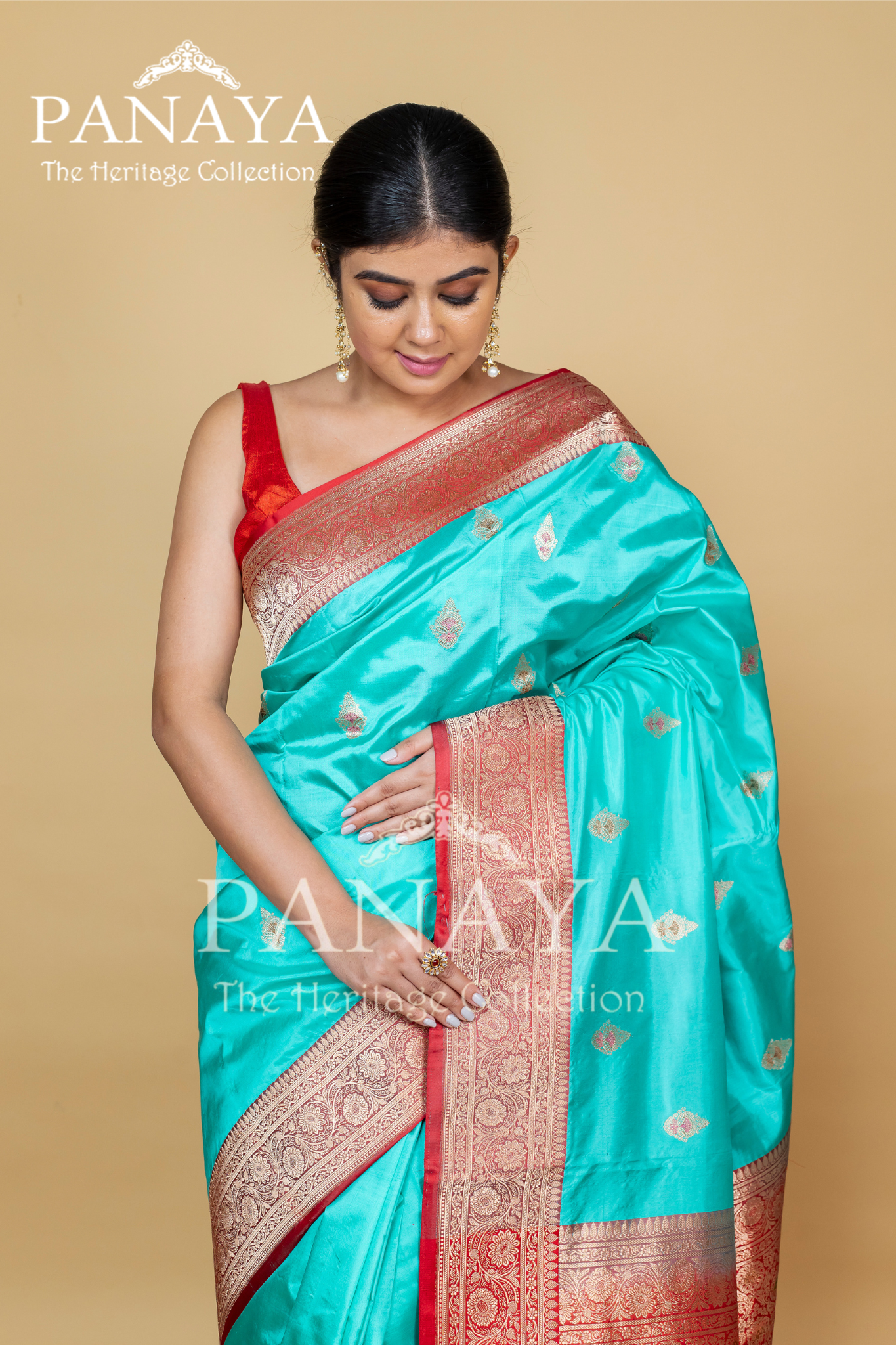 Banarasi Border And Anchal With Meenakari Work And Buti