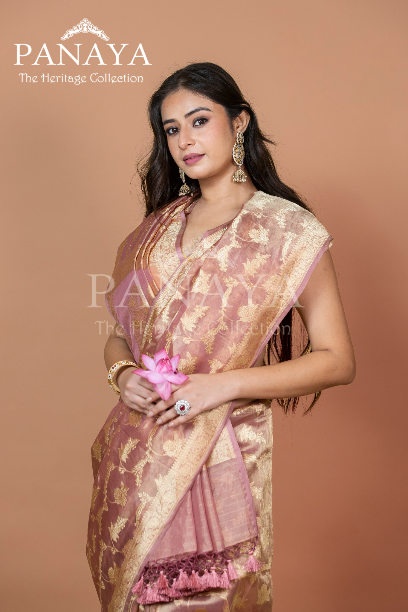 Tissue Silk Zaal Design With Gold Zari And Kairi Anchal