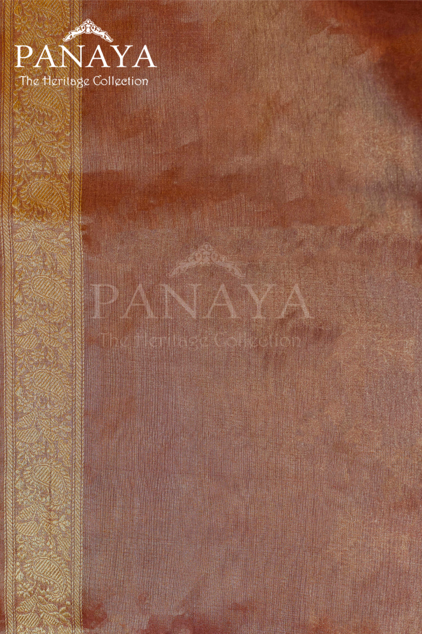Tissue Silk Zaal Design With Gold Zari And Kairi Anchal