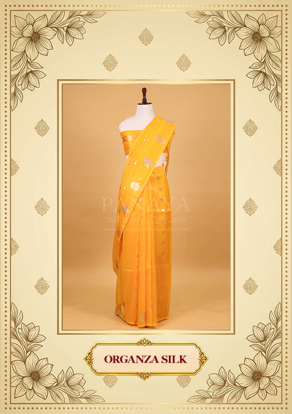 Organza Silk