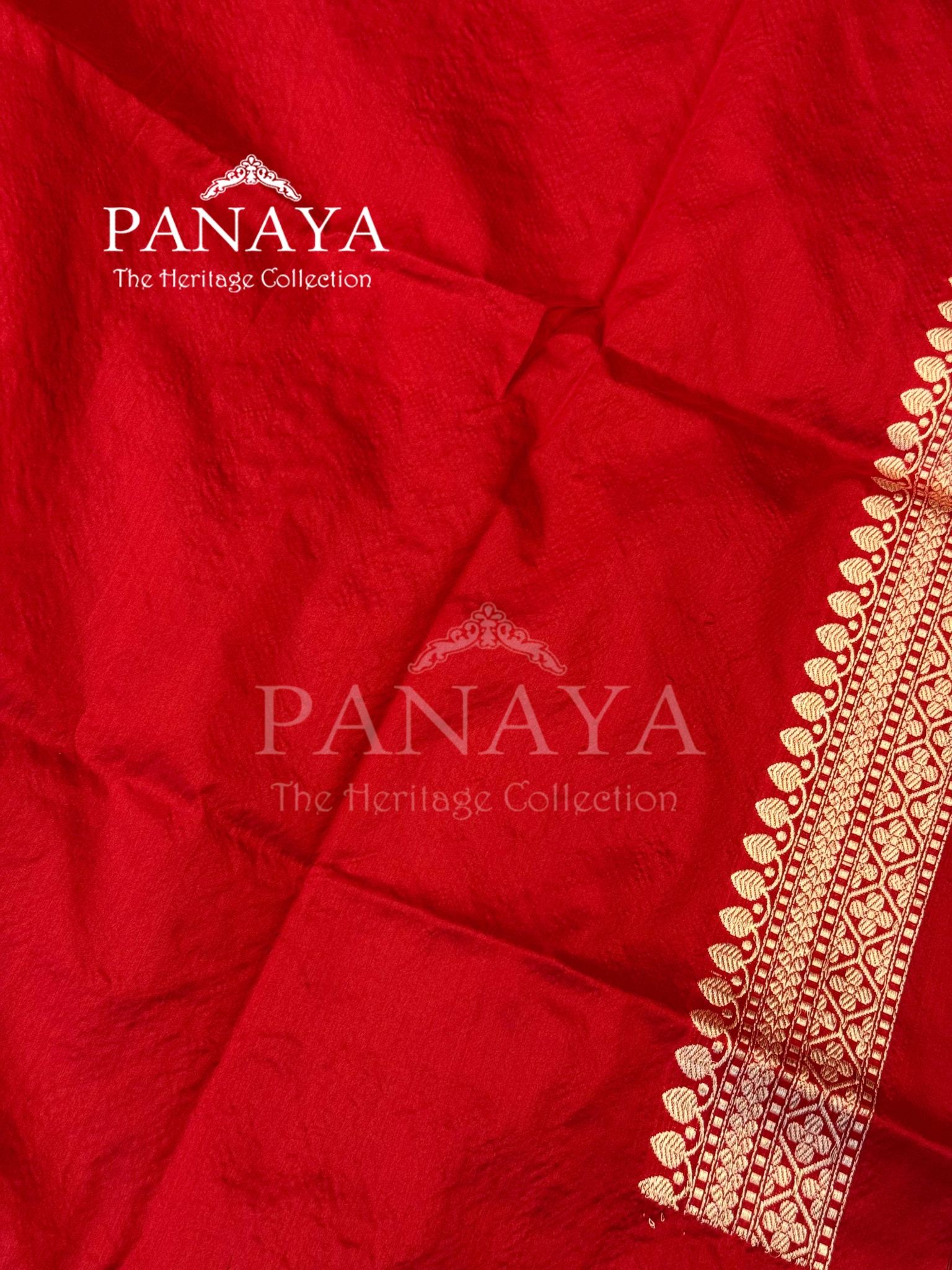 Saree Katan Silk with Contrast aanchal & Border with gold zari Paisely Boota Design