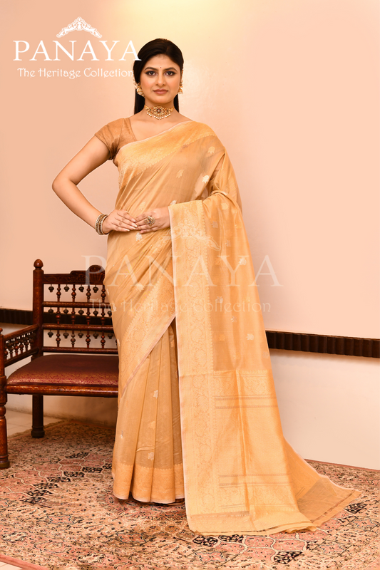 Saree Kora Cotton Silk With Banarasi aanchal & Border with Gold & Silver  Booti