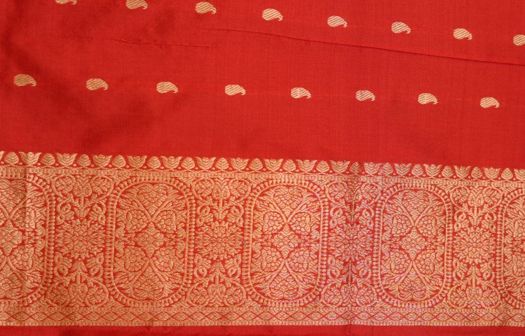 Magenta Katan Pure Silk Saree - Panaya 