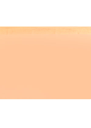 Light Peach Kora Silk Saree — Kadwa Booti Meena