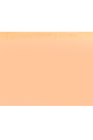 Light Peach Kora Silk Saree — Kadwa Booti Meena
