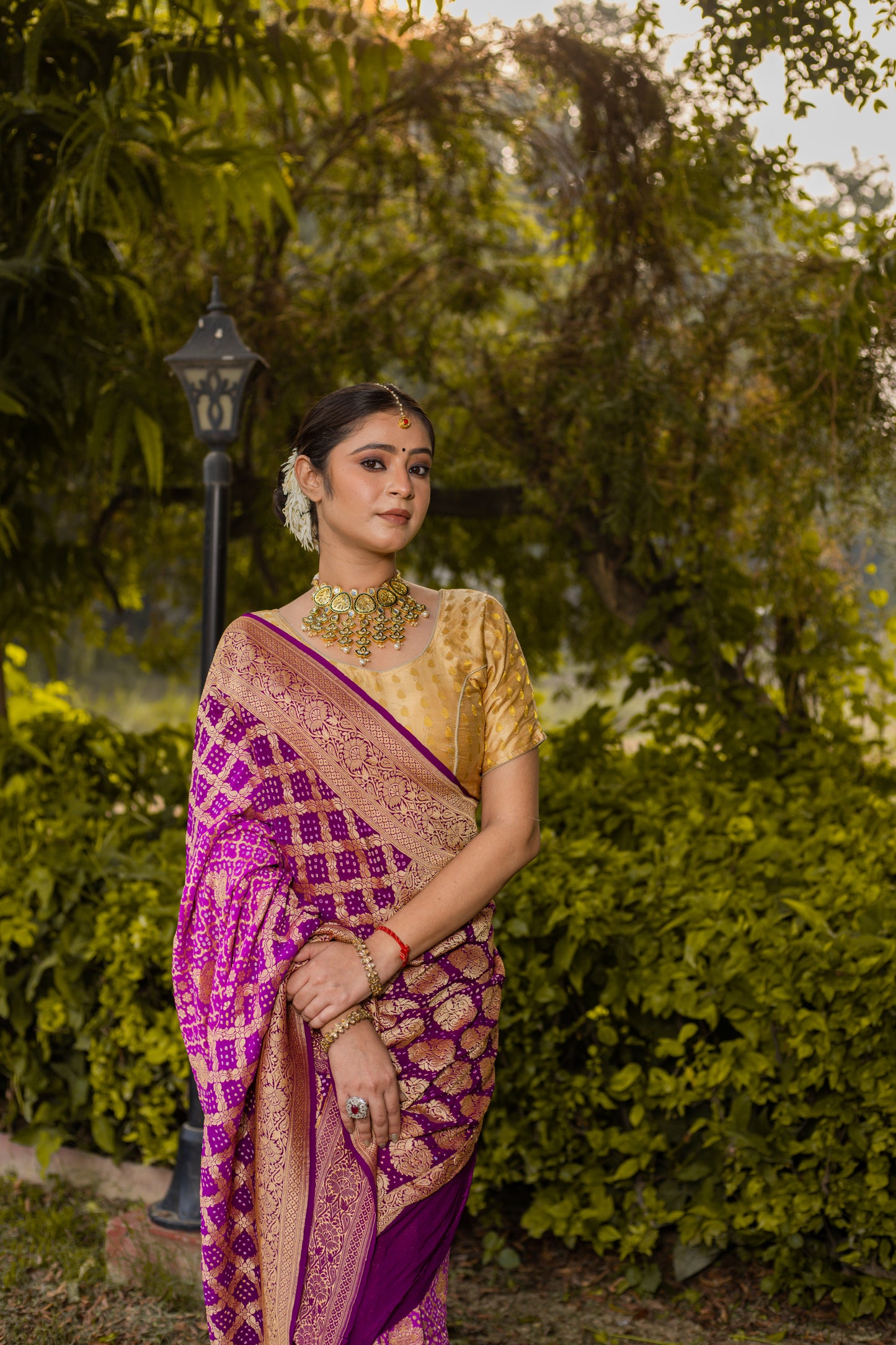 Pink Saree Georgette Silk Bandhani - Panaya 