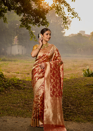 Red Tissue Silk Saree — Kadwa Jaal