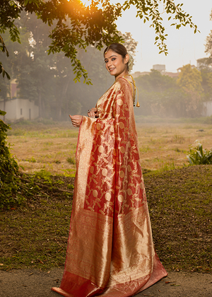 Red Tissue Silk Saree — Kadwa Jaal